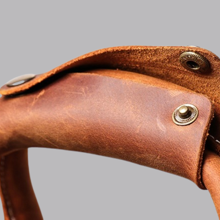 Rafael Leather Bag
